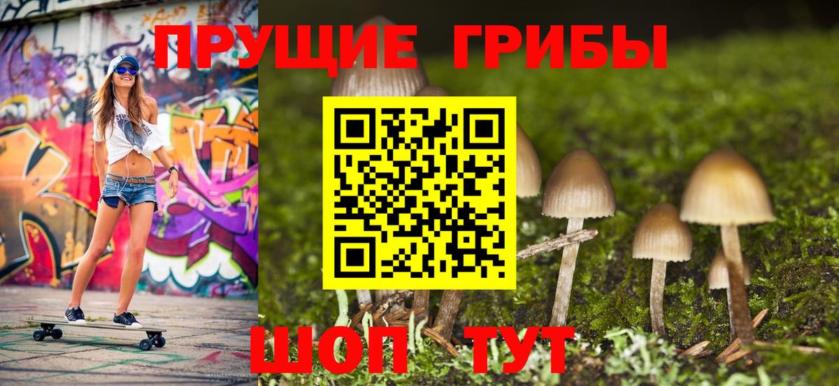 Углич  Псилоцибиновые грибы Psilocybine cubensis  Вход с VPN 